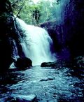Waterfall_large