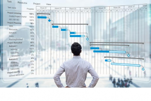 Program Management Services