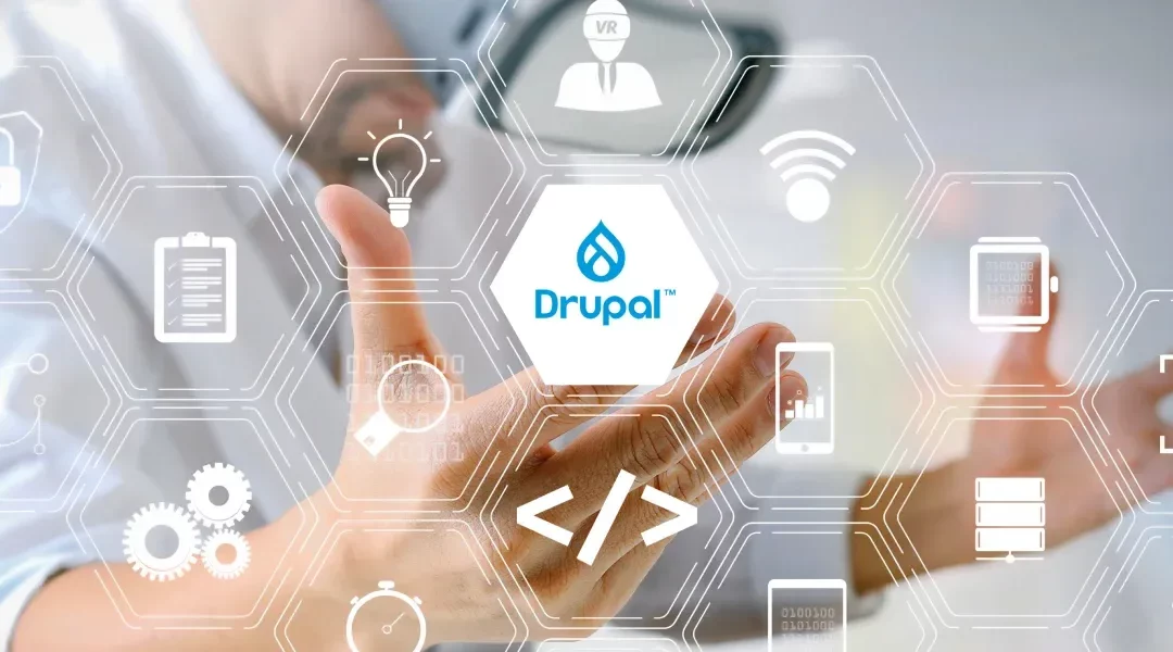 Viderity Drupal Services